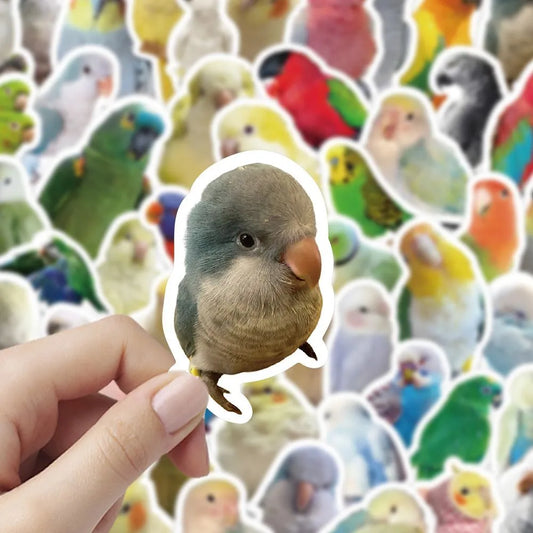 100 Pcs Realistic Parrot Sticker Pack