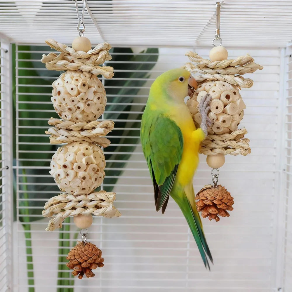 Natural Sola Wood & Woven Grass Bird Shredding Toy - Pinecone Foraging String