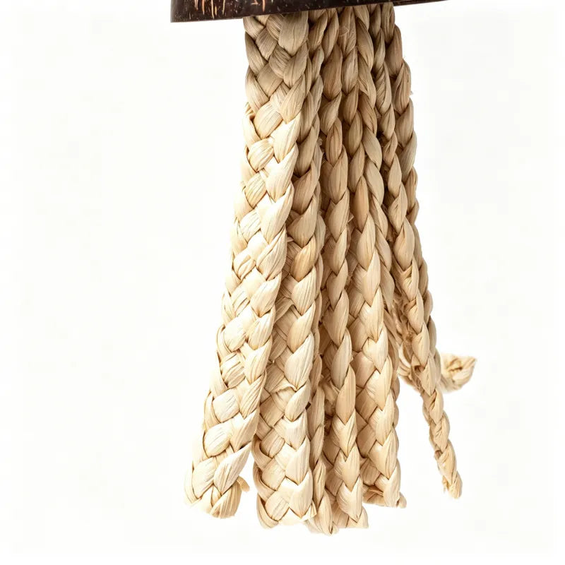 Coconut Shell Jellyfish Parrot Toy