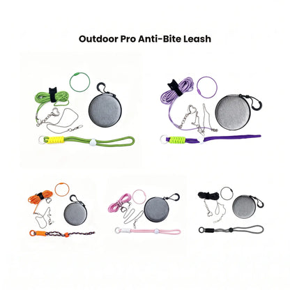 Custom Harness & Anti-Bite Leash Combo