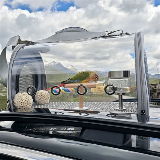 Large capacity clear bird travel carrier with panoramic view, on top of a car, with mountains behind
