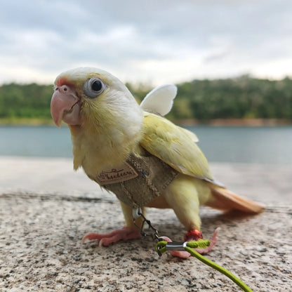 The Meadow & Vintage Botanical Bird Flight Harness