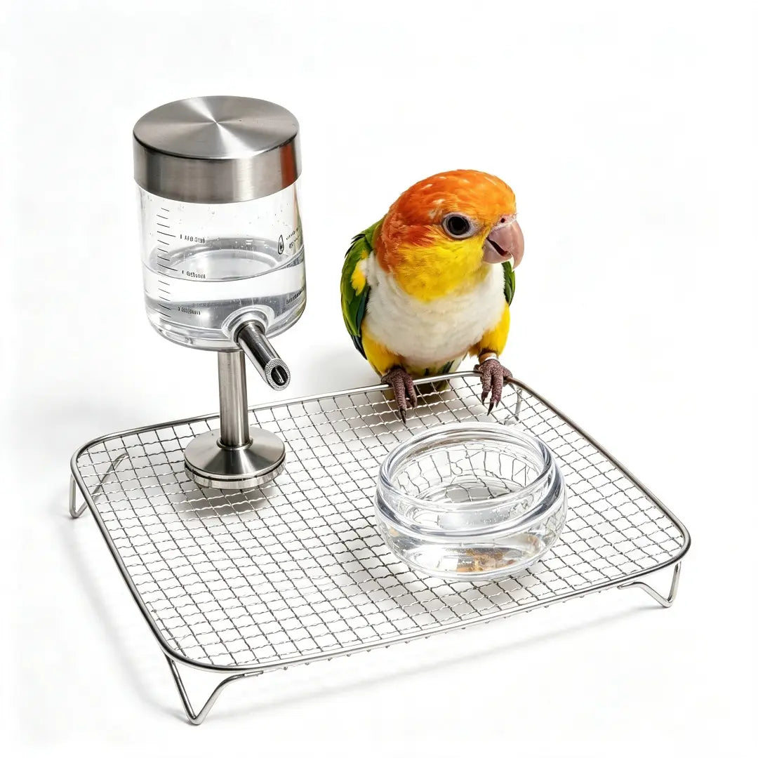Magnetic Glass Bird Waterer | Cage Mount & Pedestal