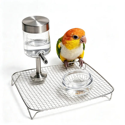 Magnetic Glass Bird Waterer | Cage Mount & Pedestal