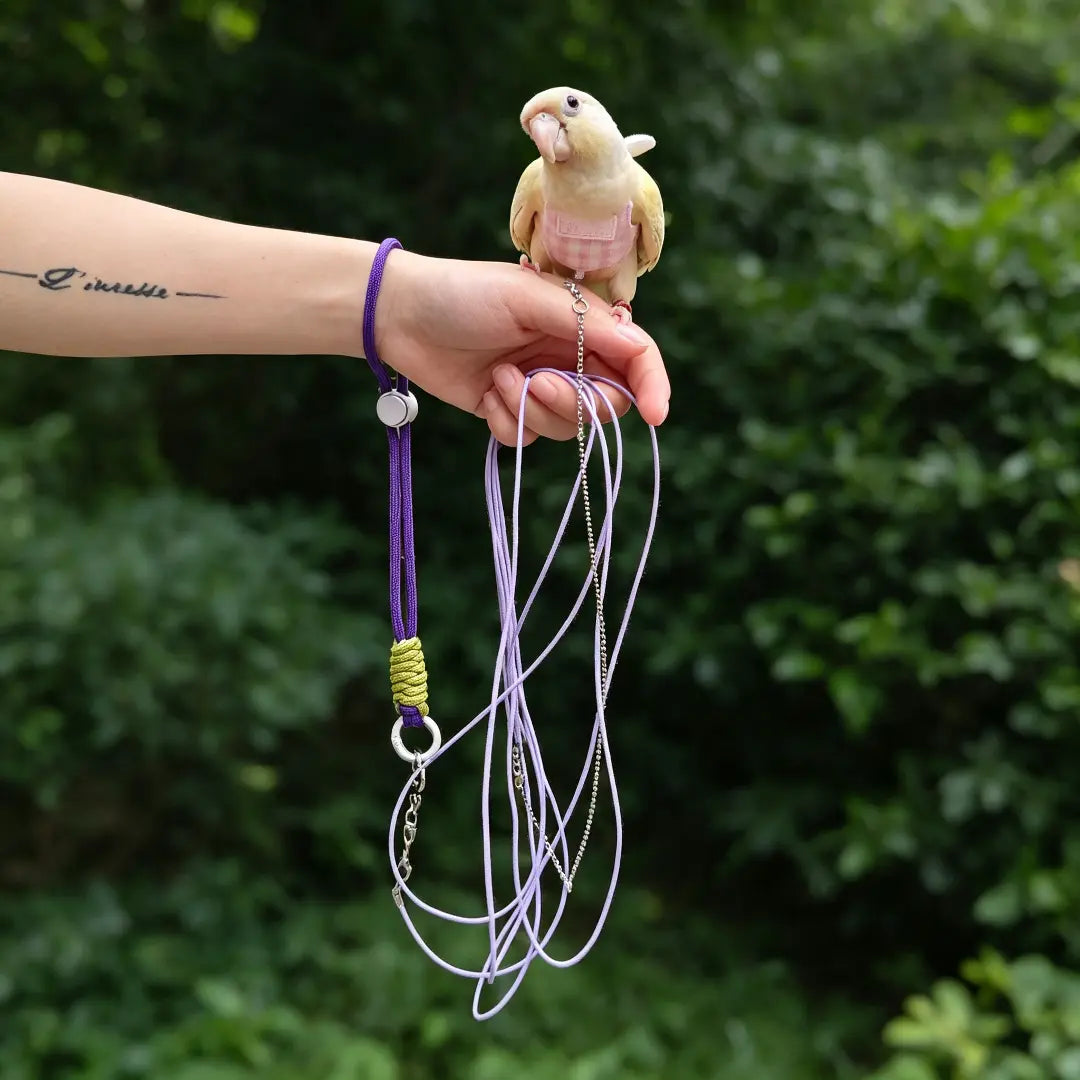 Chew-Proof Bird Flight Leash (3m / 5m)